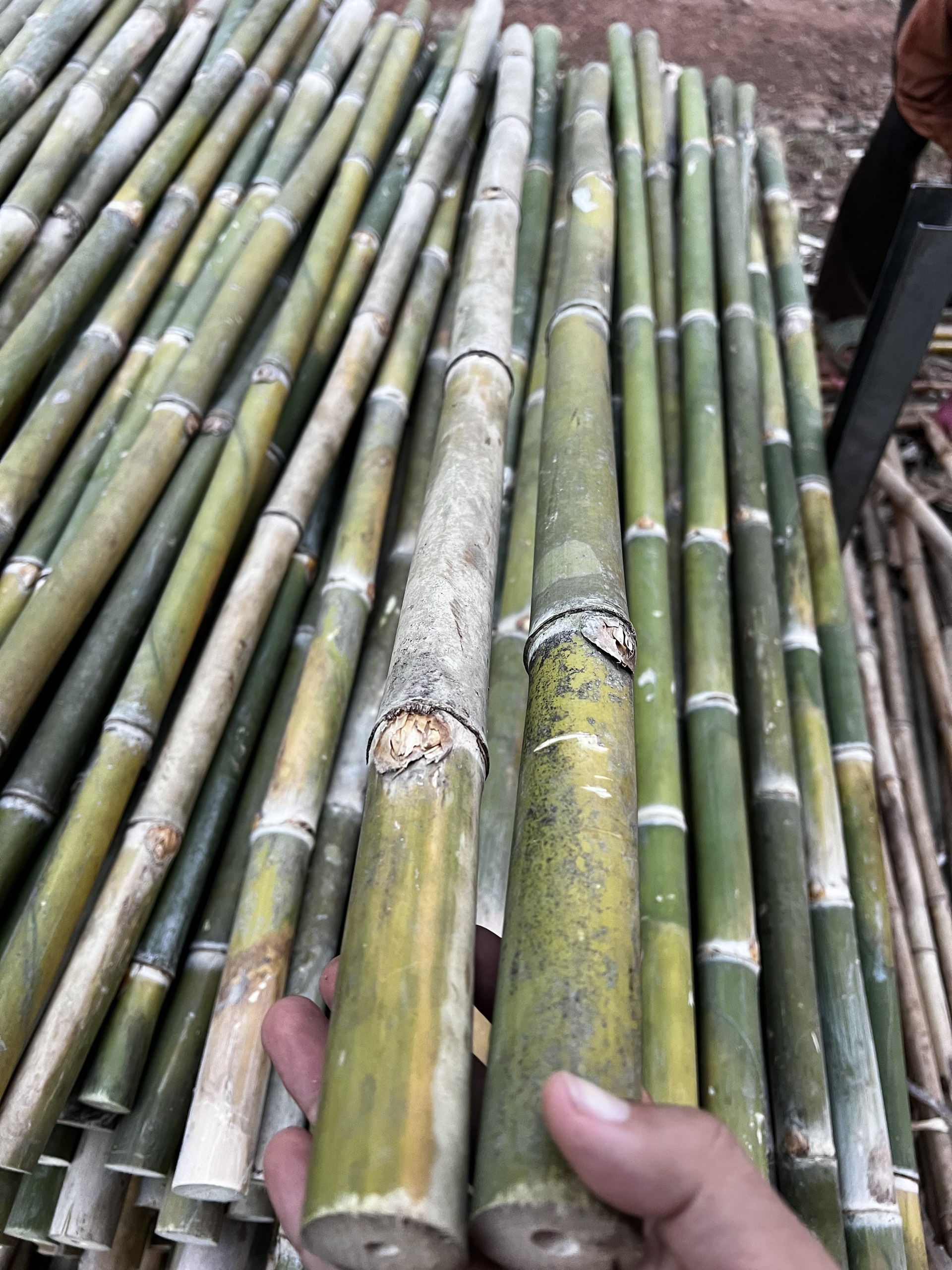 10+ Mẫu thi công tre trúc đẹp năm 2024 (phần 2)