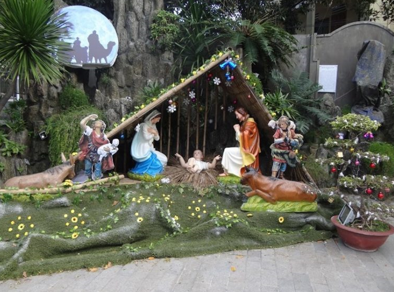 Bán cây tre trí Noel
