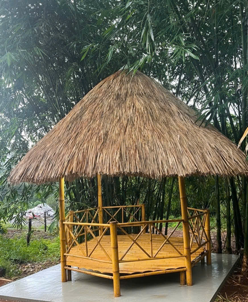 Thi công chòi lá nhà lá đẹp tiết kiệm (Phần 1)
